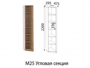 М25 Угловая секция в Нефтеюганске - nefteyugansk.magazin-mebel74.ru | фото