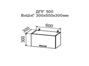 Шкаф верхний ДПГ500 горизонтальный в Нефтеюганске - nefteyugansk.magazin-mebel74.ru | фото