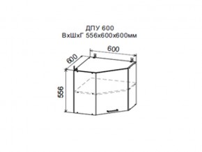 Шкаф верхний ДПУ600 угловой в Нефтеюганске - nefteyugansk.magazin-mebel74.ru | фото
